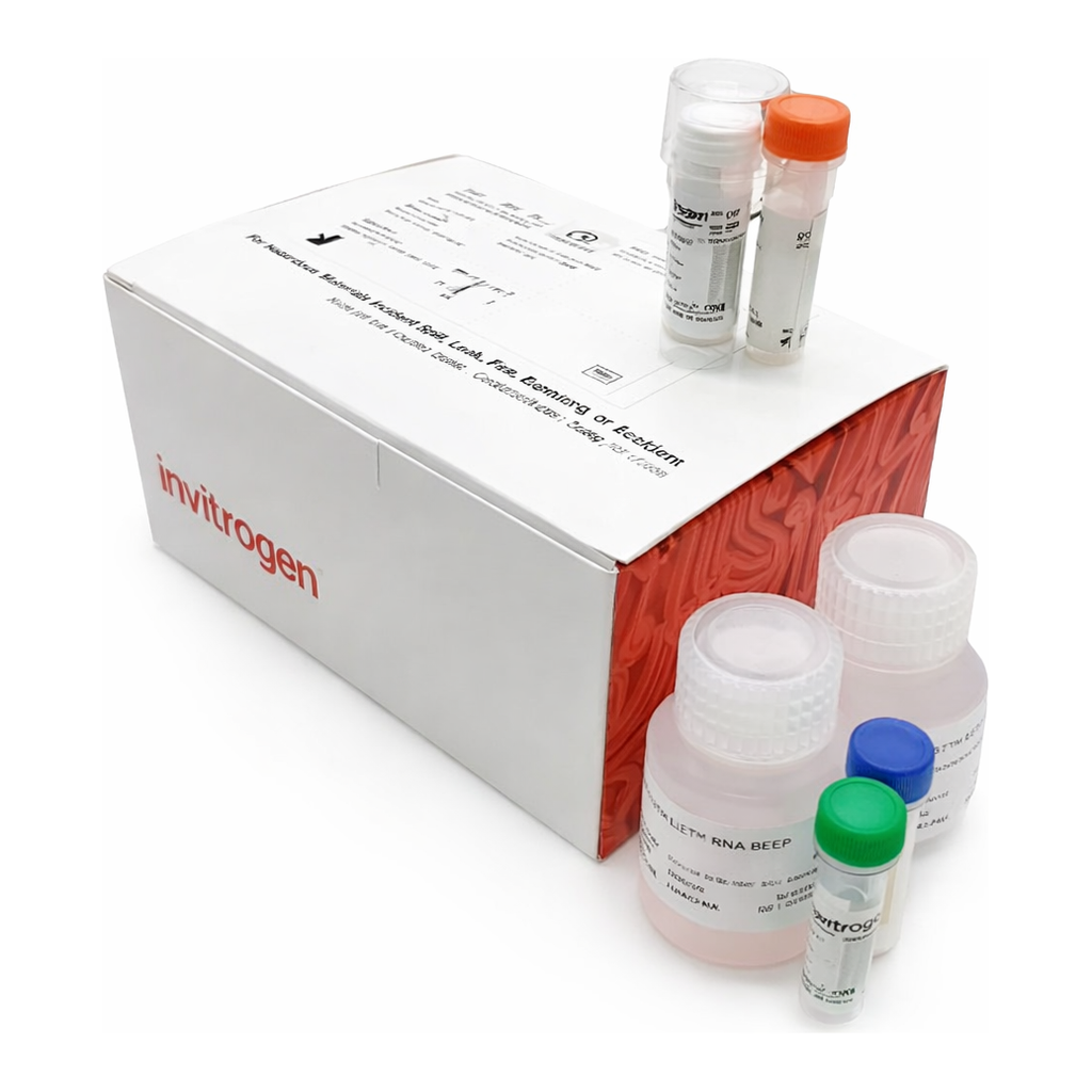 Thermo Fisher Scientific Click-iT RNA Alexa Fluor 488 HCS Assay