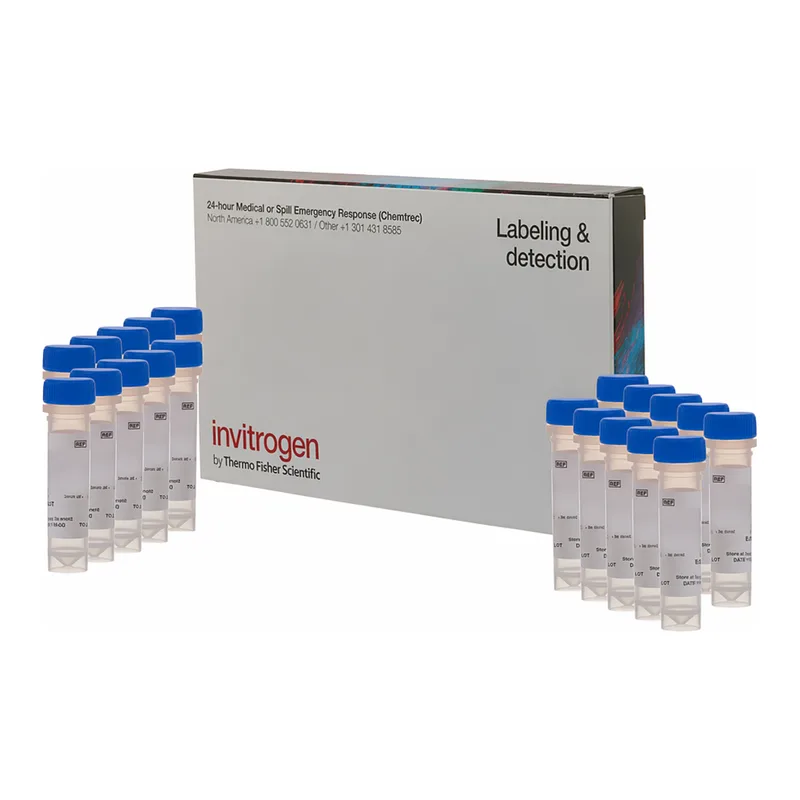 Thermo Fisher Scientific Magnesium Green, AM, cell permeant - Special Packaging