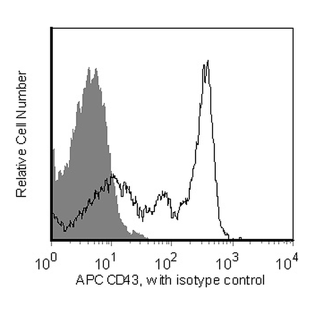 BD APC Rat Anti-Mouse CD43