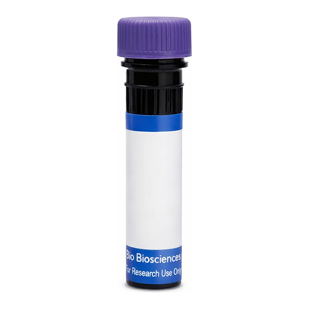 BD RB744 Hamster Anti-Rat/Mouse CD49a (Integrin α1)