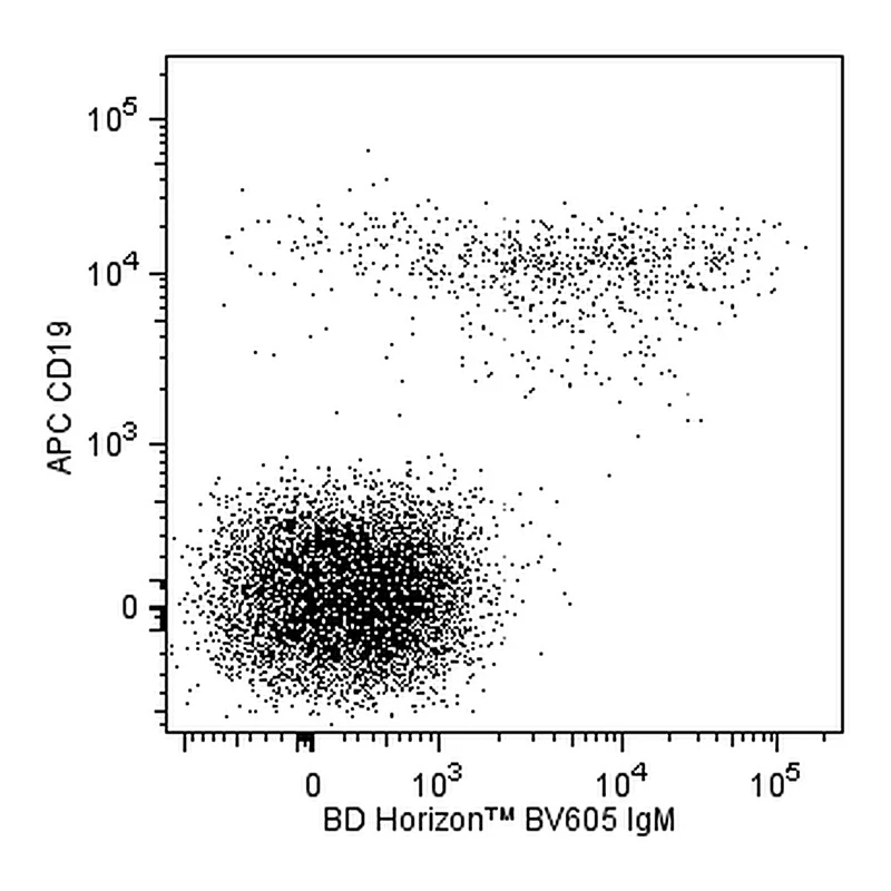 BD BV605 Mouse Anti-Human IgM