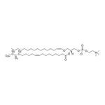 Merck C16(plasm)-18:1(d9) PC