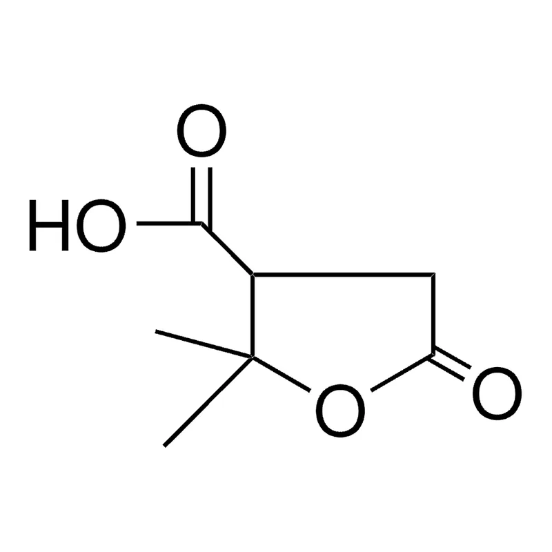 Merck TEREBIC ACID(TETRAHYDRO-2,2-DIME-