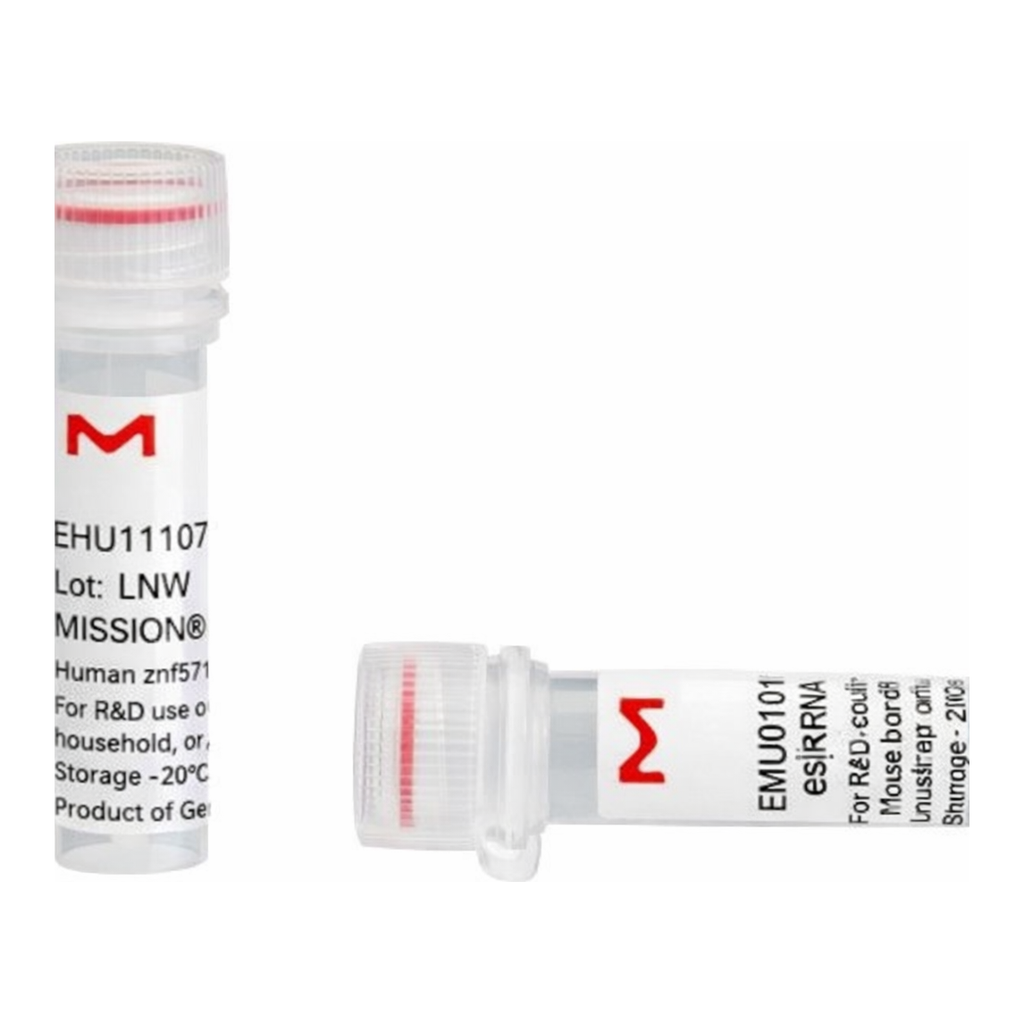 Merck MISSION(R) esiRNA