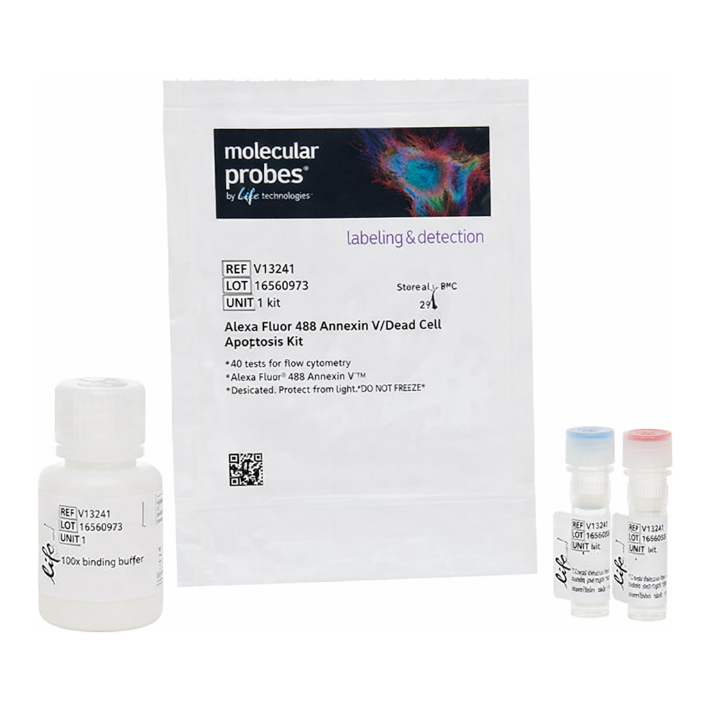 Thermo Fisher Scientific Dead Cell Apoptosis Kit with Annexin V Alexa Fluor 488 & Propidium Iodide (PI), 50 assays