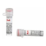 Merck MISSION(R) esiRNA