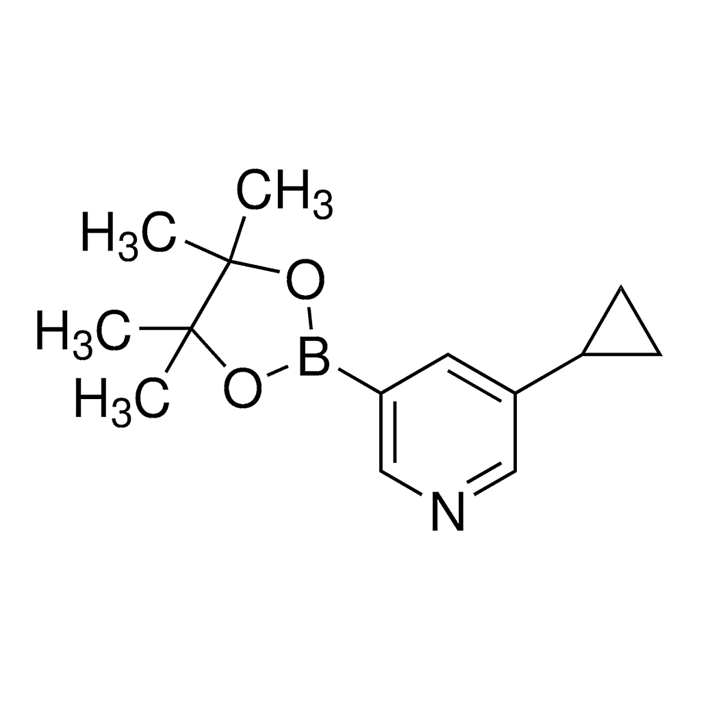 Merck 3-Cyclopropyl-5-(4,4,5,5-tetramethyl-1,3,2-dioxaborolan-2-yl)pyridine