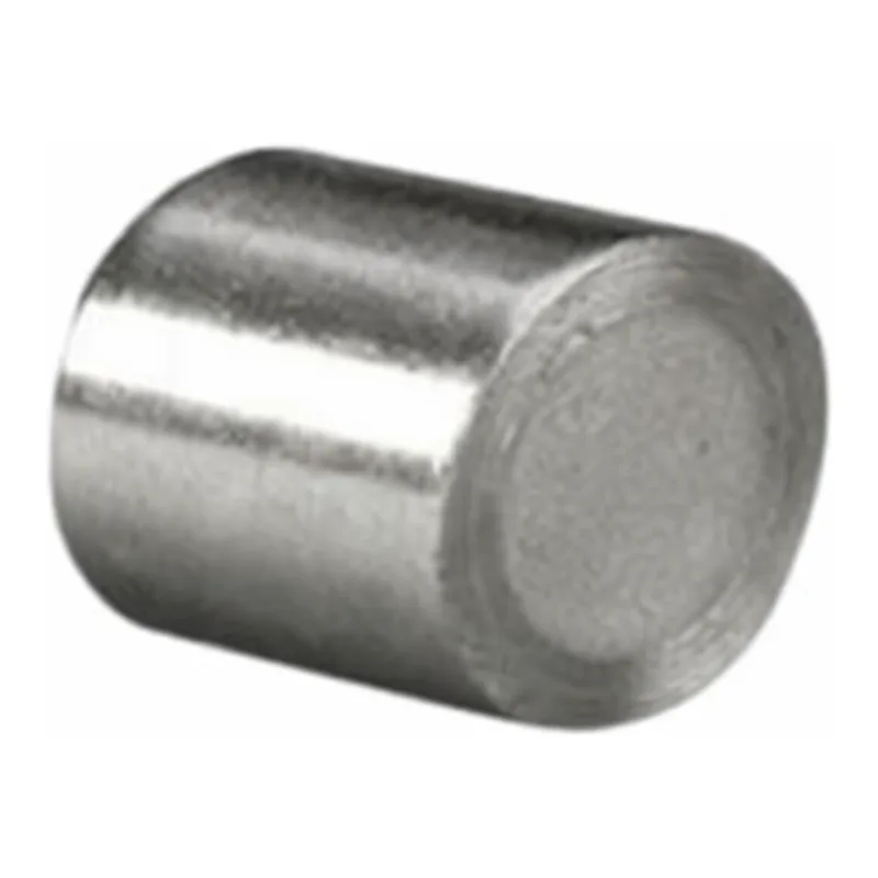 Waters Symmetry Silica C8 Prep Guard Cartridge, 100Å, 7 µm, 7.8 mm X 10 mm, 1/pk