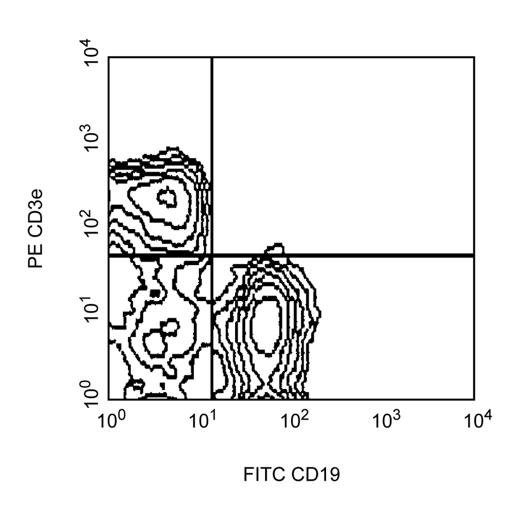 BD FITC Rat Anti-Mouse CD19