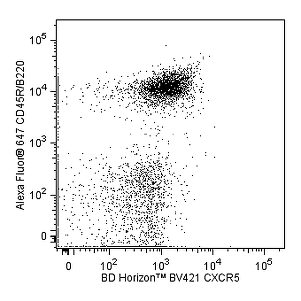 BD BV421 Rat Anti-Mouse CD185 (CXCR5)