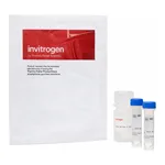 Thermo Fisher Scientific MultiSpeck Multispectral Fluorescence Microscopy Standards Kit (in suspension)