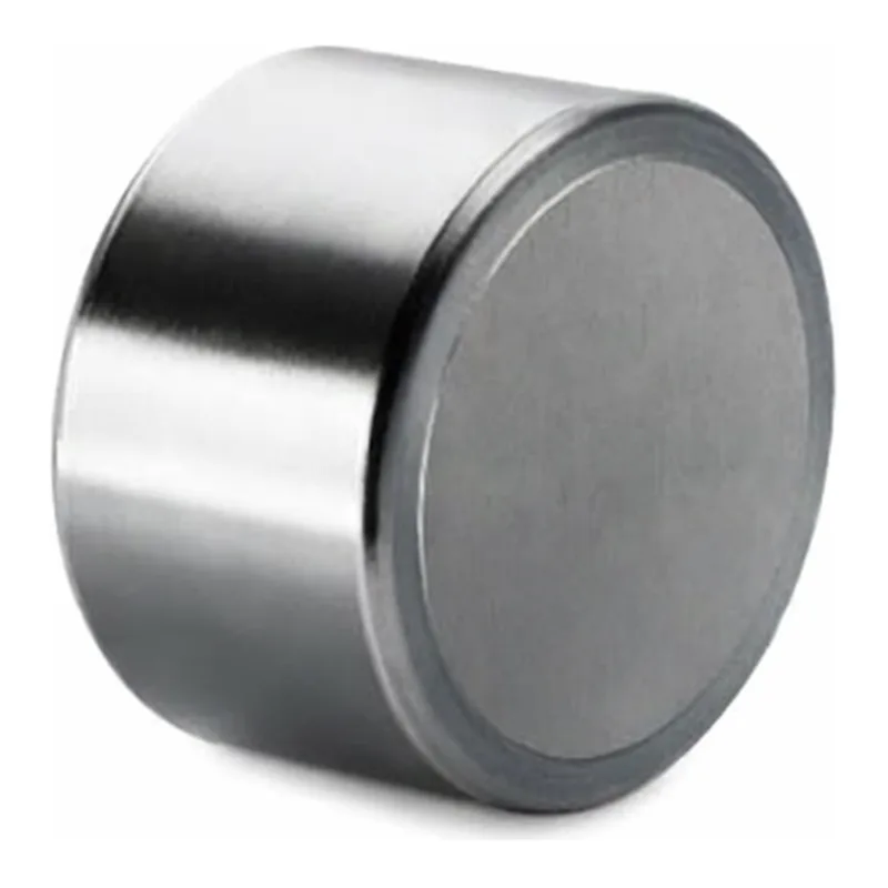 Waters XTerra Shield RP8 Prep Guard Cartridge, 125Å, 5 µm, 19 mm X 10 mm, 1/pk