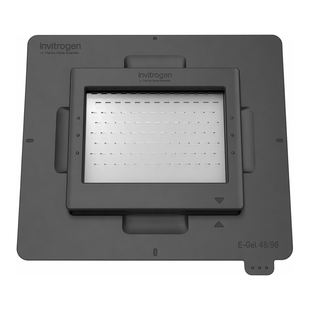 Thermo Fisher Scientific iBright System Tray Adapter for E-Gel Agarose Gels, 48-/96-well, 1 Adaptor