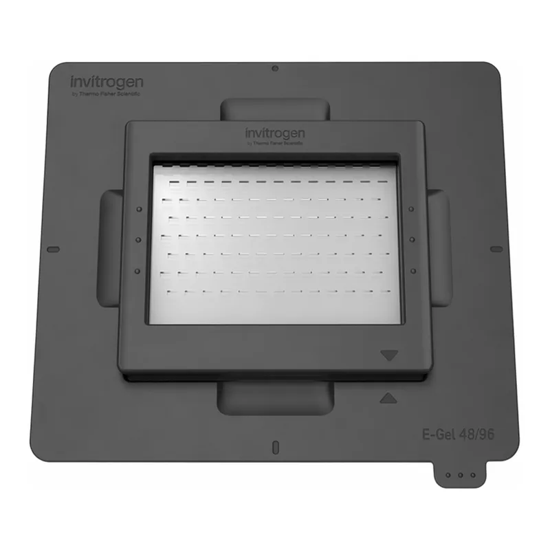Thermo Fisher Scientific iBright System Tray Adapter for E-Gel Agarose Gels, 48-/96-well, 1 Adaptor