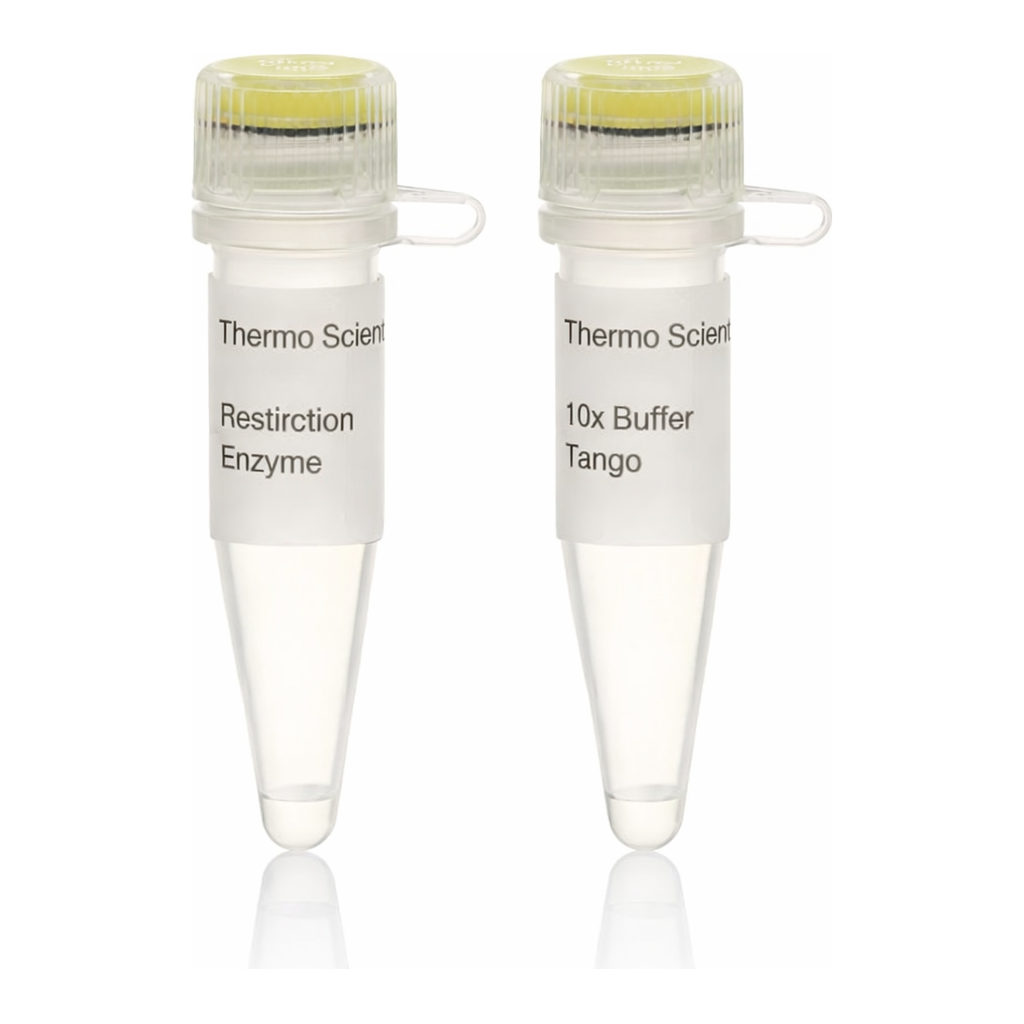 Thermo Fisher Scientific Cfr13I (Sau96I) (10 U/&mu;L)