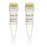 Thermo Fisher Scientific Cfr13I (Sau96I) (10 U/μL)