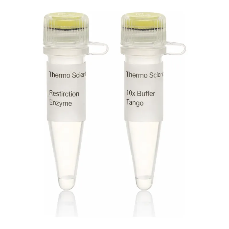 Thermo Fisher Scientific Cfr13I (Sau96I) (10 U/μL)
