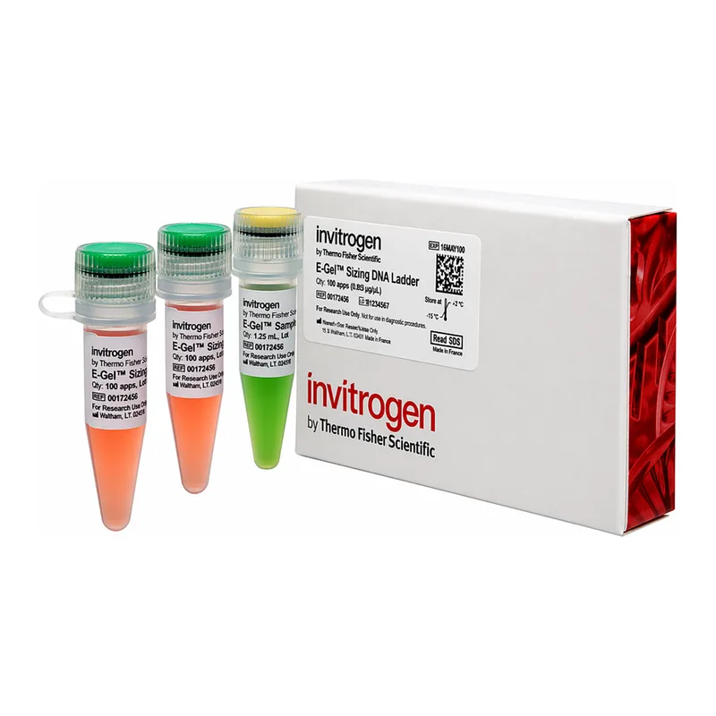 Thermo Fisher Scientific E-Gel Sizing DNA Ladder