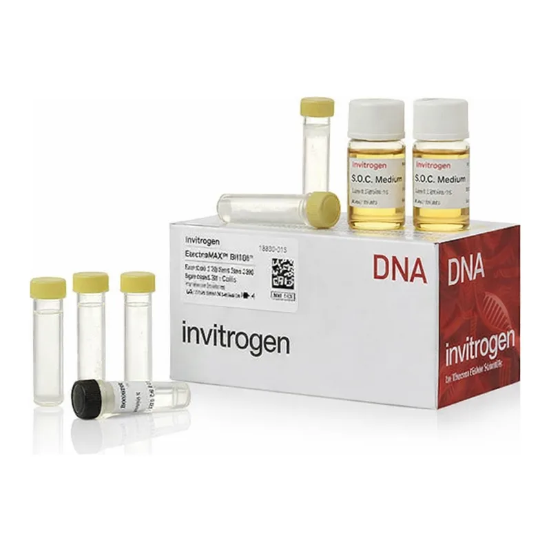 Thermo Fisher Scientific ElectroMAX DH10B Cells