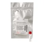 Thermo Fisher Scientific DyLight 488 NHS Ester, 1 mg
