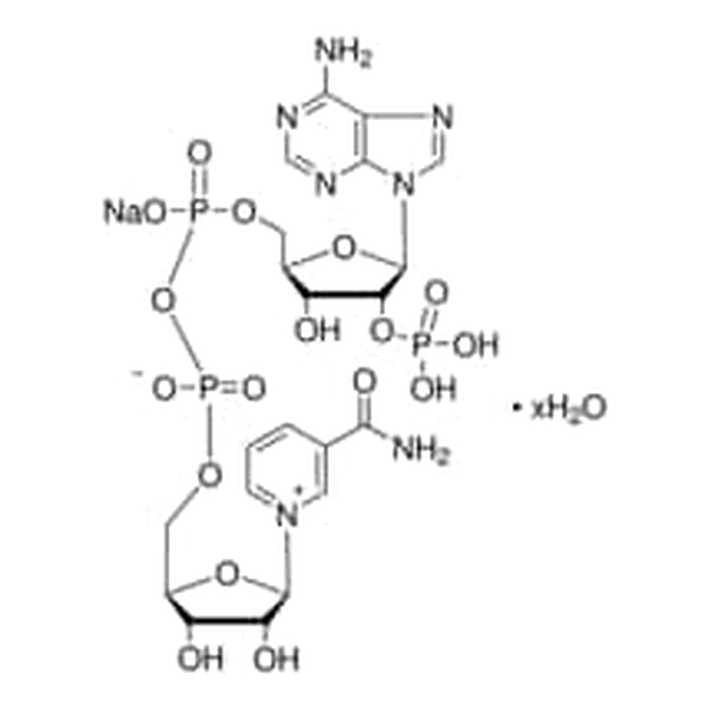 Merck BETA-NICOTINAMIDE ADENINE DINUCLEOTIDE P