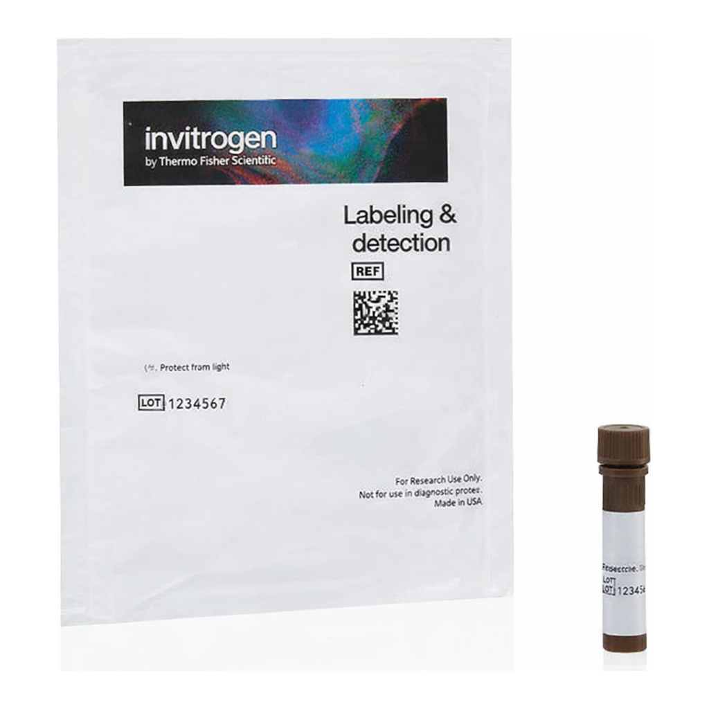 Thermo Fisher Scientific Lycopersicon Esculentum (Tomato) Lectin (LEL, TL), DyLight 488