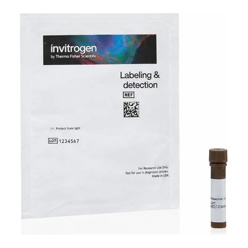 Thermo Fisher Scientific Lycopersicon Esculentum (Tomato) Lectin (LEL, TL), DyLight 488