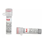 Merck MISSION(R) esiRNA