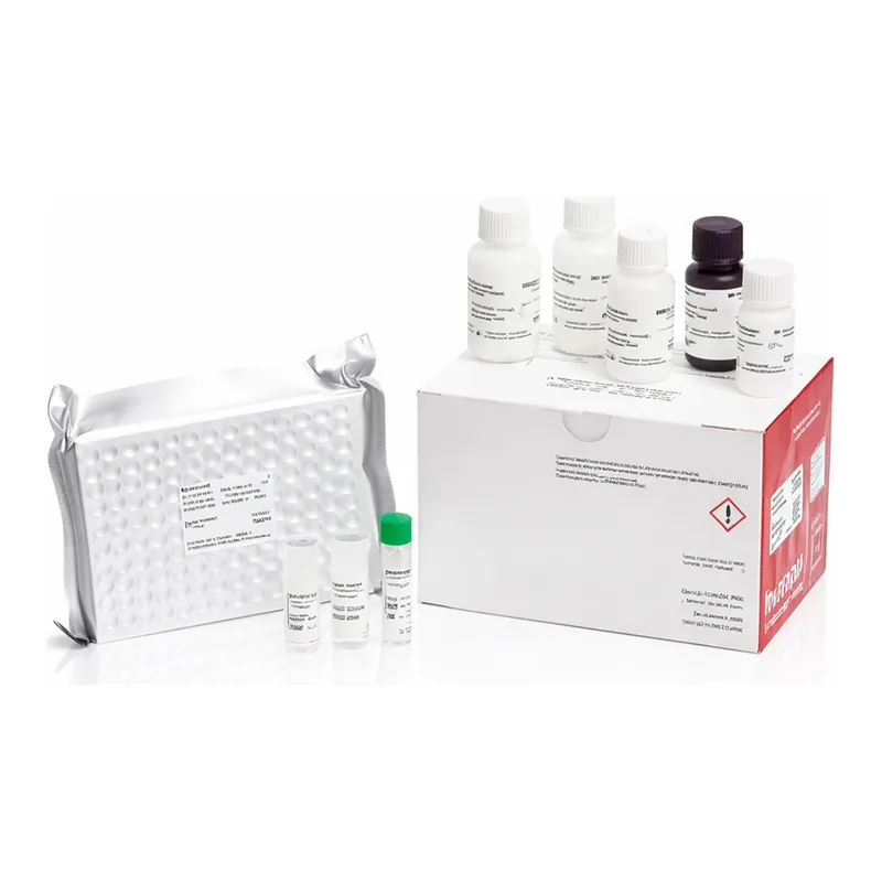 Thermo Fisher Scientific Human Testosterone Rapid ELISA Kit