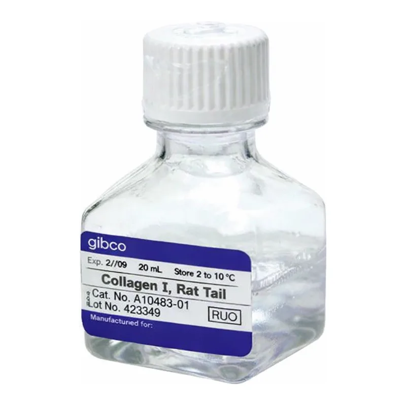 Thermo Fisher Scientific Collagen I, rat tail