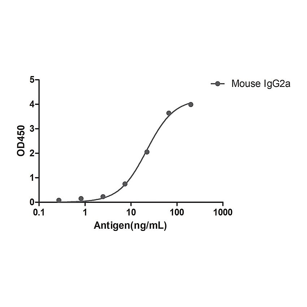 Merck Alpaca Anti-Mouse IgG2a(Fcgamma) single domain Antibody