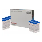 Thermo Fisher Scientific LysoSensor Blue DND-167 - Special Packaging