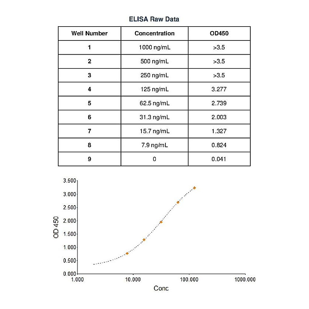 Thermo Fisher Scientific Rabbit anti-Sheep IgG (H+L) Secondary Antibody