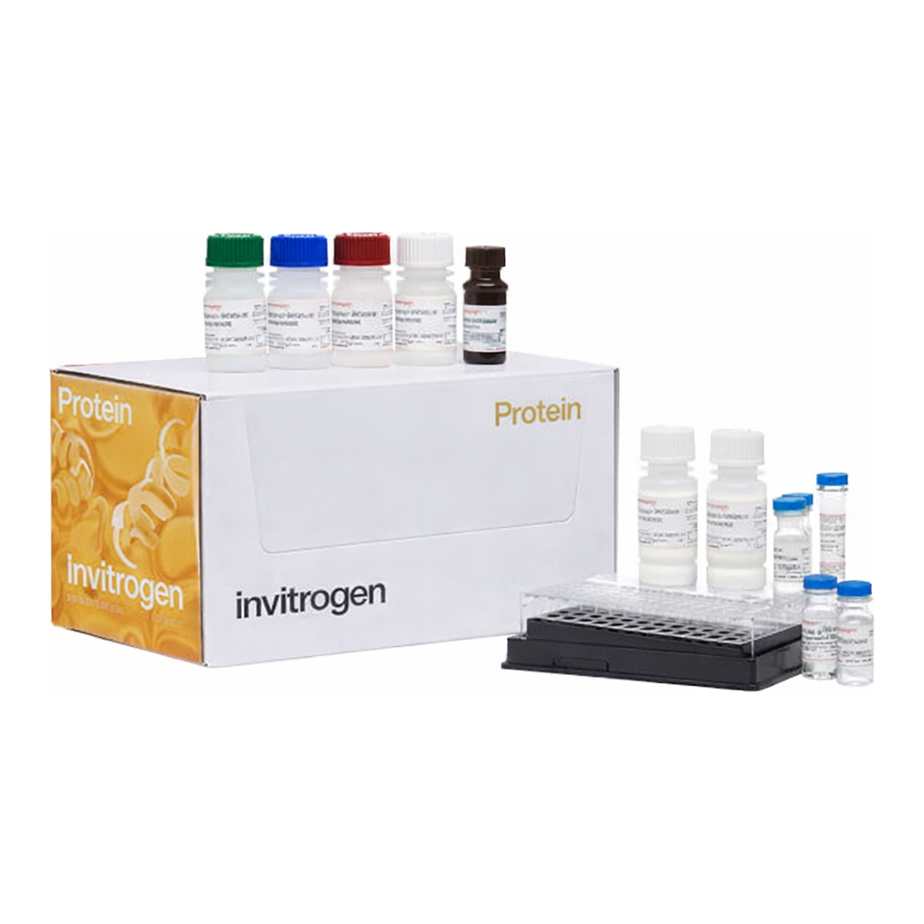 Thermo Fisher Scientific Cytokine 10-Plex Human Panel