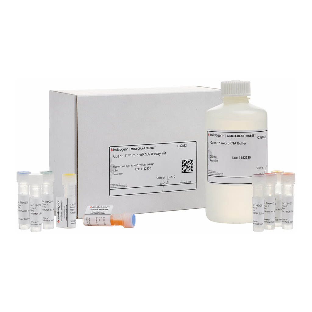 Thermo Fisher Scientific Quant-iT microRNA Assay Kit