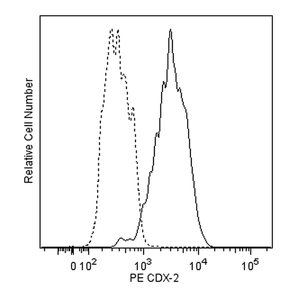 BD PE Mouse Anti-Human CDX-2