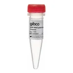 Thermo Fisher Scientific AAV-MAX pAAV-Rep2Cap2 Vector