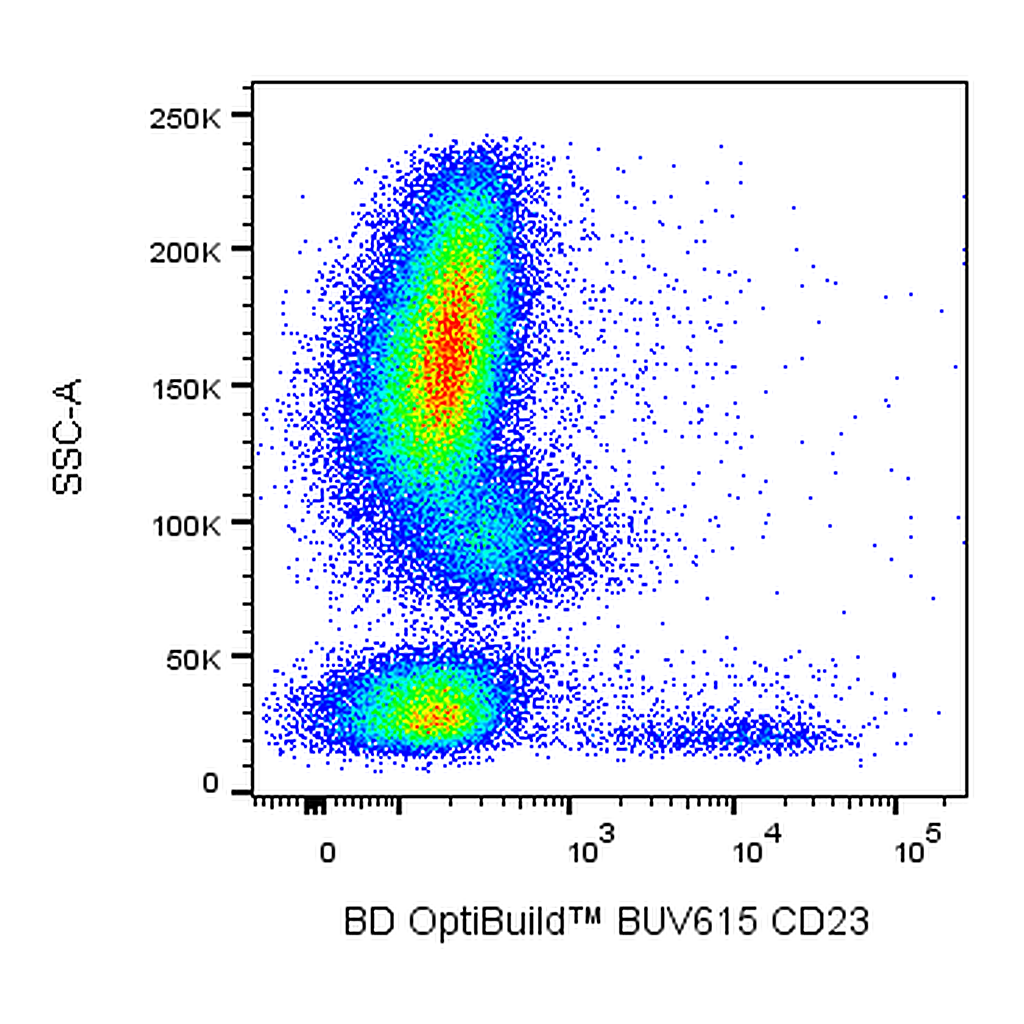 BD BUV615 Mouse Anti-Human CD23