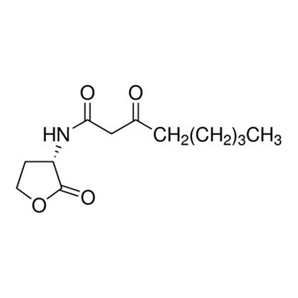 Merck N-(3-OXOOCTANOYL)-L-HOMOSERINE LACTONE