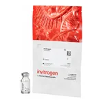 Thermo Fisher Scientific FluoSpheres Polystyrene Microspheres, 15 μm, orange fluorescent (540/560), for blood flow determination