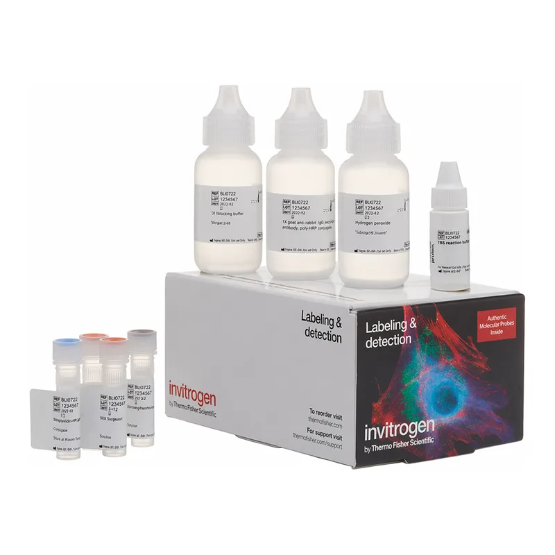 Thermo Fisher Scientific Alexa Fluor 488 Tyramide SuperBoost Kit, goat anti-rabbit IgG, Sufficient for 150 Slides