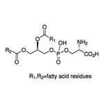 Merck L-A-PHOSPHATIDYL-SERINE FROM SOYBEAN