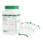 Kisanbio MBcell Sabouraud Chloramphenicol Agar
