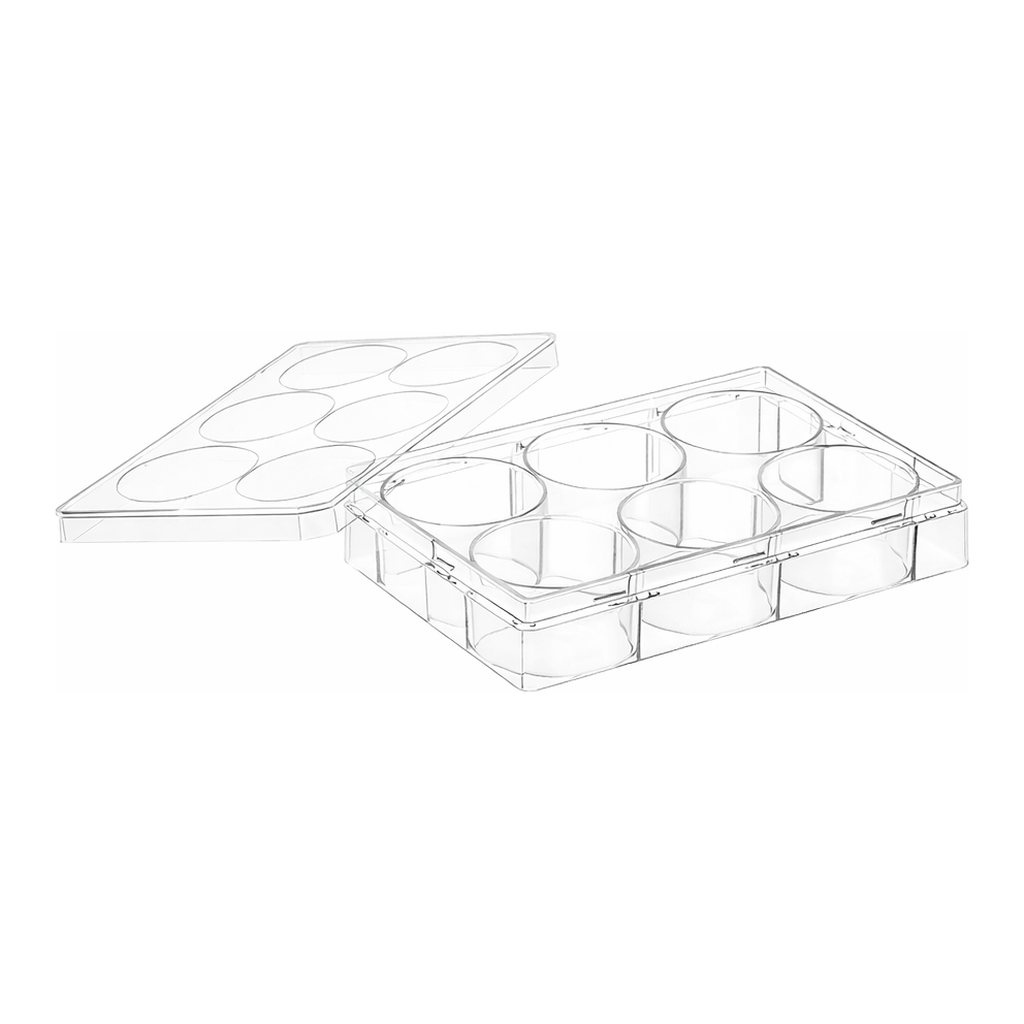 Greiner Bio One CELL CULTURE MULTIWELL PLATE, 6 WELL, PS, CLEAR,CELLCOAT®, POLY-L-LYSINE, LID WITH CONDENSATION RINGS, 5 PCS./BAG