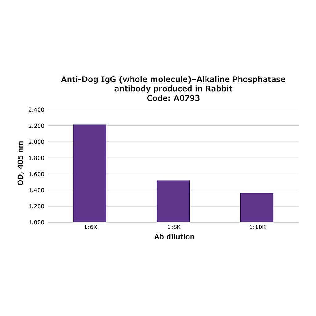 Merck Anti-Dog IgG (whole molecule)-Alkaline Phosphatase antibody produced in rabbit
