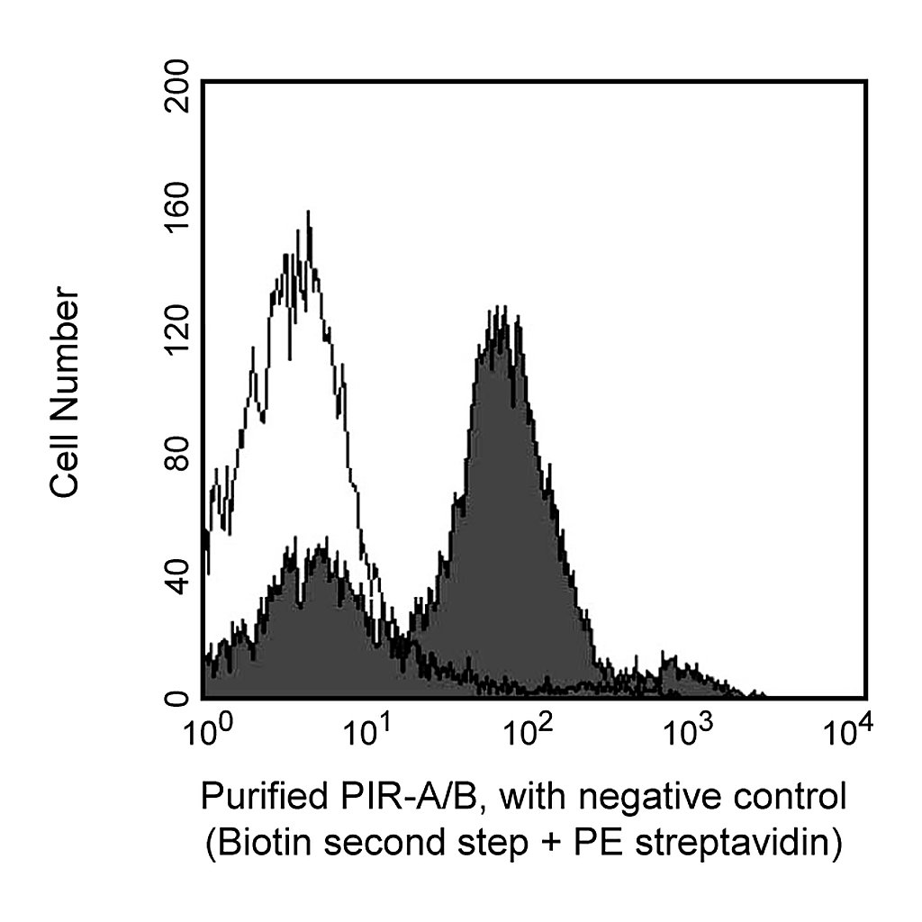 BD Purified Rat Anti-Mouse PIR-A/B