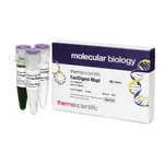 Thermo Fisher Scientific FastDigest MspI