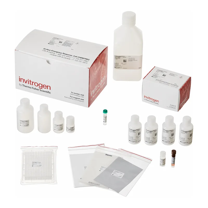 Thermo Fisher Scientific QuantiGene Plex 384-well Assay Kit