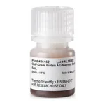 Thermo Fisher Scientific Pierce ChIP-grade Protein A/G Magnetic Beads