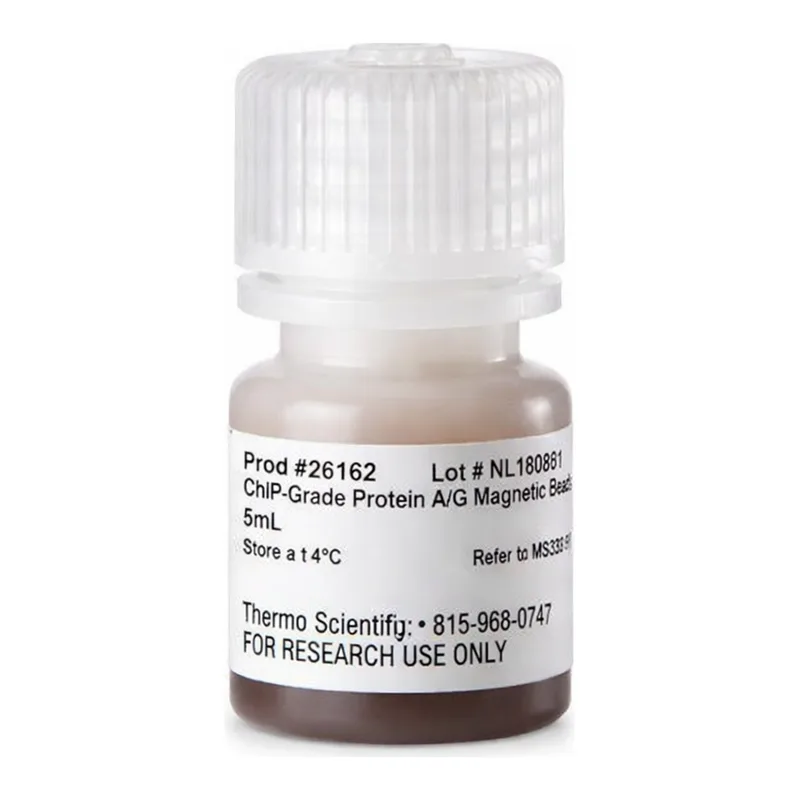 Thermo Fisher Scientific Pierce ChIP-grade Protein A/G Magnetic Beads